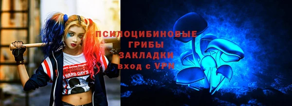 мдпв Вязники