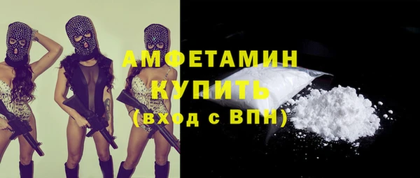 твердый Вяземский