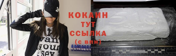 твердый Вяземский