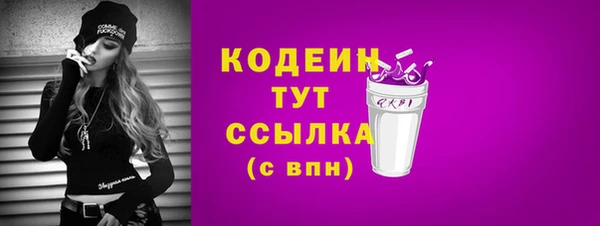 твердый Вяземский